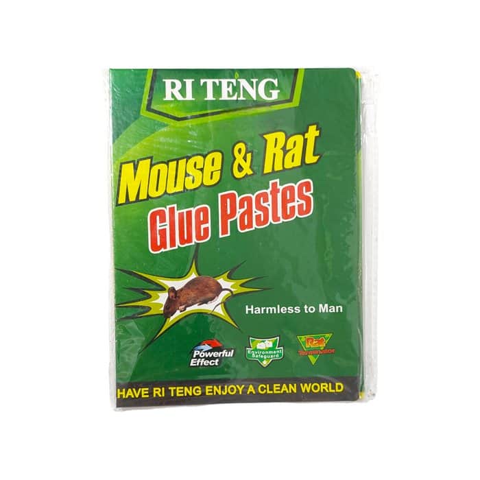 מלכודת ספר ללכידת עכברים