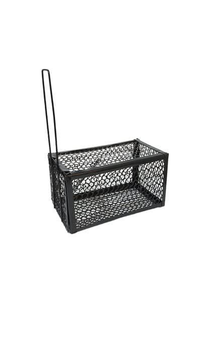 מלכודת ברזל ללכידת חולדות