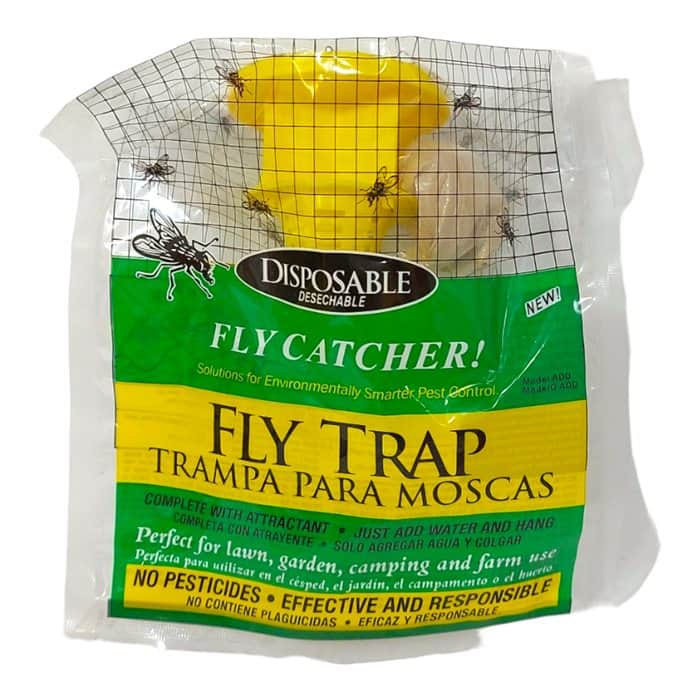 מלכודת זבובים