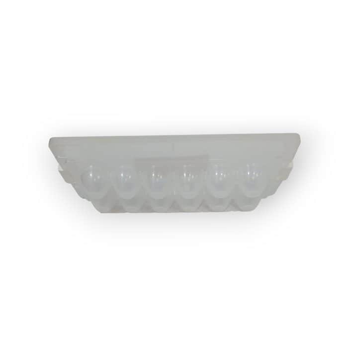 קופסת איחסון לביצים