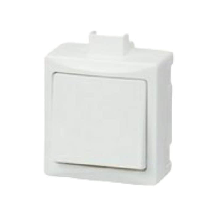 מפסק מחליף על הטיח קומפקטי