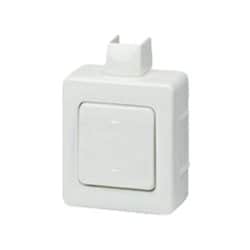 מפסק יחיד על הטיח