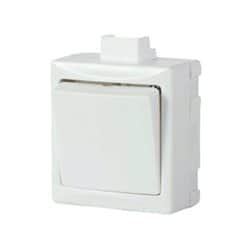 מפסק יחיד על הטיח קומפקטי